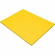 Tru-Ray Construction Paper (PAC103068)