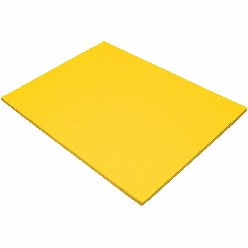 Tru-Ray Construction Paper (PAC103068)