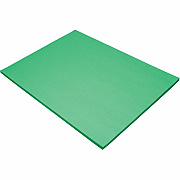 Tru-Ray Construction Paper (PAC103070)
