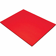 Tru-Ray Construction Paper (PAC103433)
