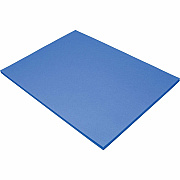 Tru-Ray Construction Paper (PAC103086)