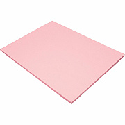 Tru-Ray Construction Paper (PAC103076)