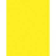 Pacon Neon Multipurpose Paper - Yellow (104316)