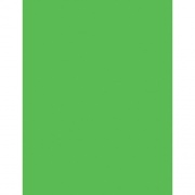 Pacon Neon Multipurpose Paper - Green (104317)