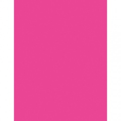 Pacon Neon Multipurpose Paper - Pink (104319)
