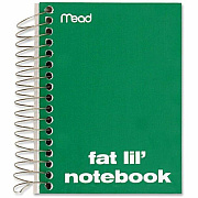 Mead Fat Lil' Notebook (MEA45390)
