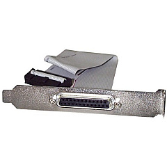 StarTech 16in Db25to Idc 25 Pin Header Slot Plate (PLATE25F16)