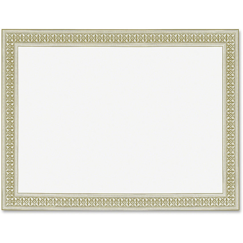 Geographics Gold Foil Stamped Flourish Design Award Certificate (GEO45492)