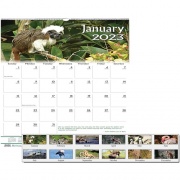 House of Doolittle Earthscapes Wildlife Wall Calendars (3731)