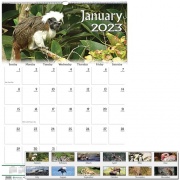 House of Doolittle Earthscapes Wildlife Monthly Wall Calendar (3732)