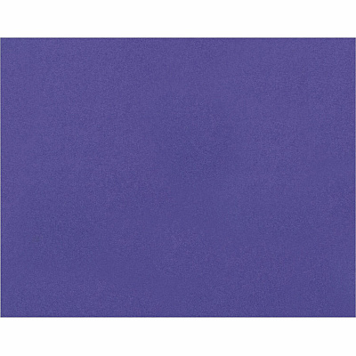 Pacon Railroad Board (PAC54481)