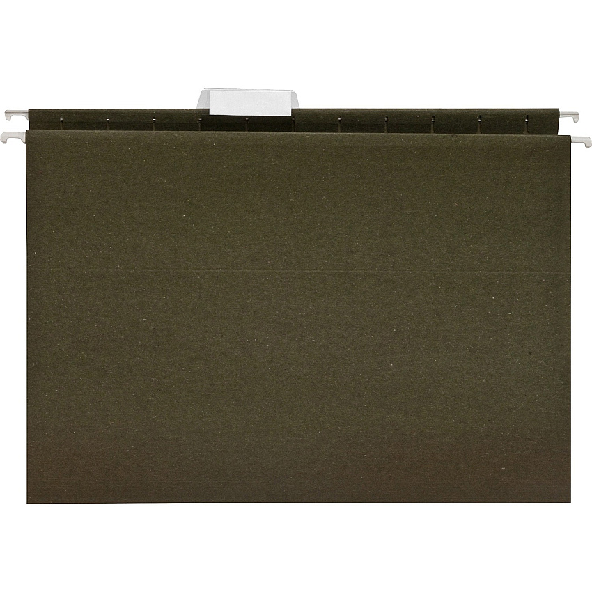 Business Source 1/5 Tab Cut Letter Recycled Hanging Folder (BSN17533)
