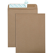 Quality Park 9 x 12 Catalog Mailing Envelopes with Redi-Strip Self-Seal Closure (QUA44511)