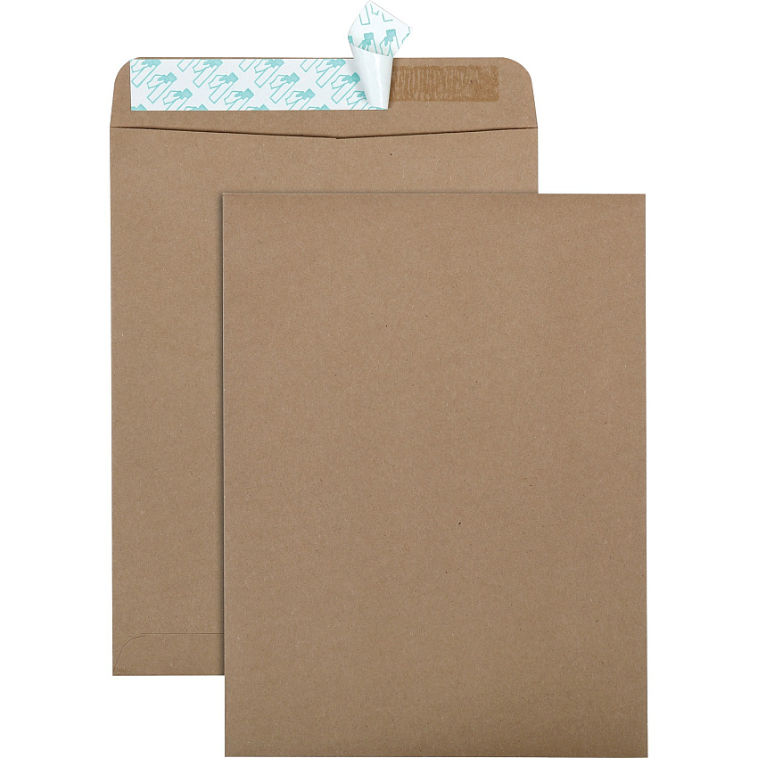 Quality Park 9 x 12 Catalog Mailing Envelopes with Redi-Strip Self-Seal Closure (QUA44511)