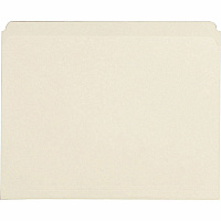Business Source Straight Tab Cut Letter Recycled Top Tab File Folder (BSN43565)