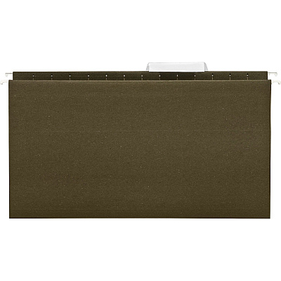 Business Source 1/3 Tab Cut Legal Recycled Hanging Folder (BSN43569)