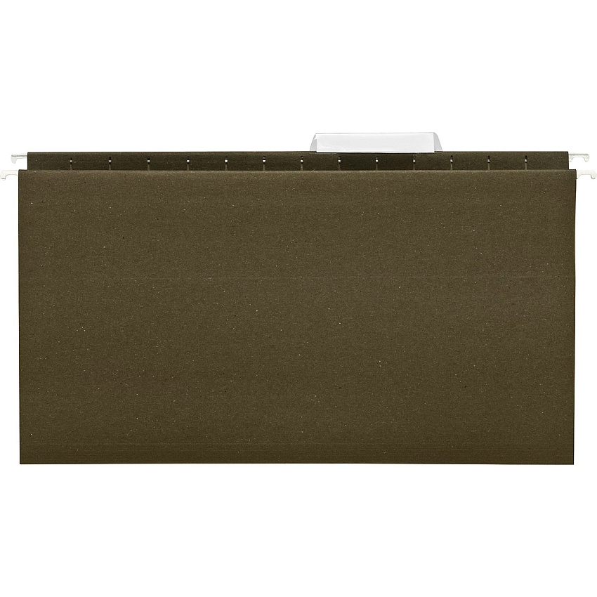 Business Source 1/3 Tab Cut Legal Recycled Hanging Folder (BSN43569)