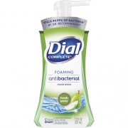 Dial Complete Foaming Hand Wash (02934)