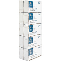 Business Source Paper Clips (BSN65639)