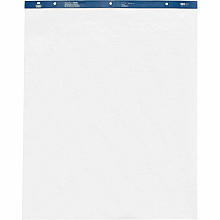 Business Source Standard Easel Pad (BSN38205)