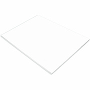Tru-Ray Construction Paper (PAC103090)