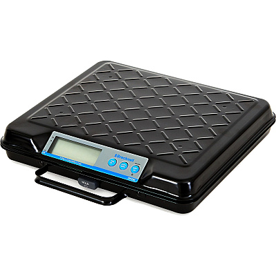 Brecknell Digital Bench Scale (SBWGP250)