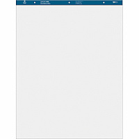 Business Source Standard Easel Pad (BSN36585)