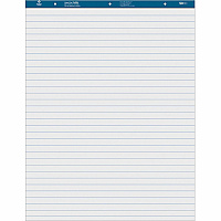 Business Source Standard Ruled Easel Pad (BSN36586)