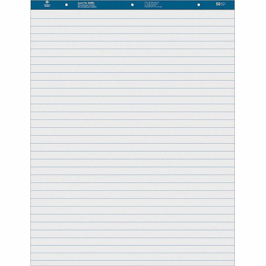 Business Source Standard Ruled Easel Pad (BSN36586)