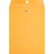 Business Source Heavy-duty Clasp Envelopes (BSN36663)