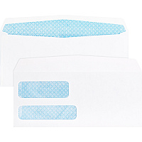 Business Source No. 9 Double Window Invoice Envelopes (BSN36680)