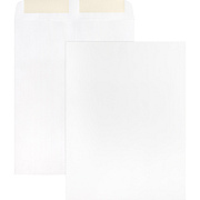Business Source 28 lb. White Catalog Envelopes (BSN42102)