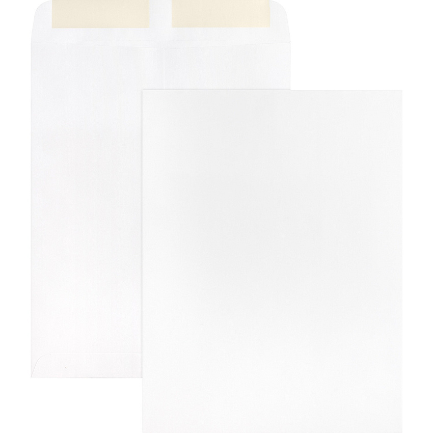Business Source 28 lb. White Catalog Envelopes (BSN42102)