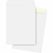 Business Source 28 lb. White Catalog Envelopes (BSN42103)