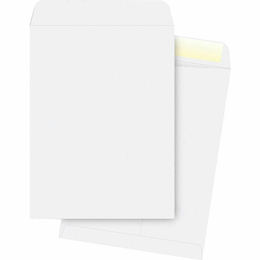 Business Source 28 lb. White Catalog Envelopes (BSN42103)