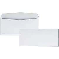 Business Source Regular Business Envelopes (BSN42250)