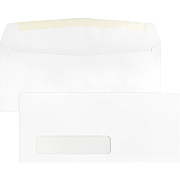 Business Source Economical No. 10 Window Envelope (BSN42251)