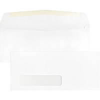Business Source Economical No. 10 Window Envelope (BSN42251)