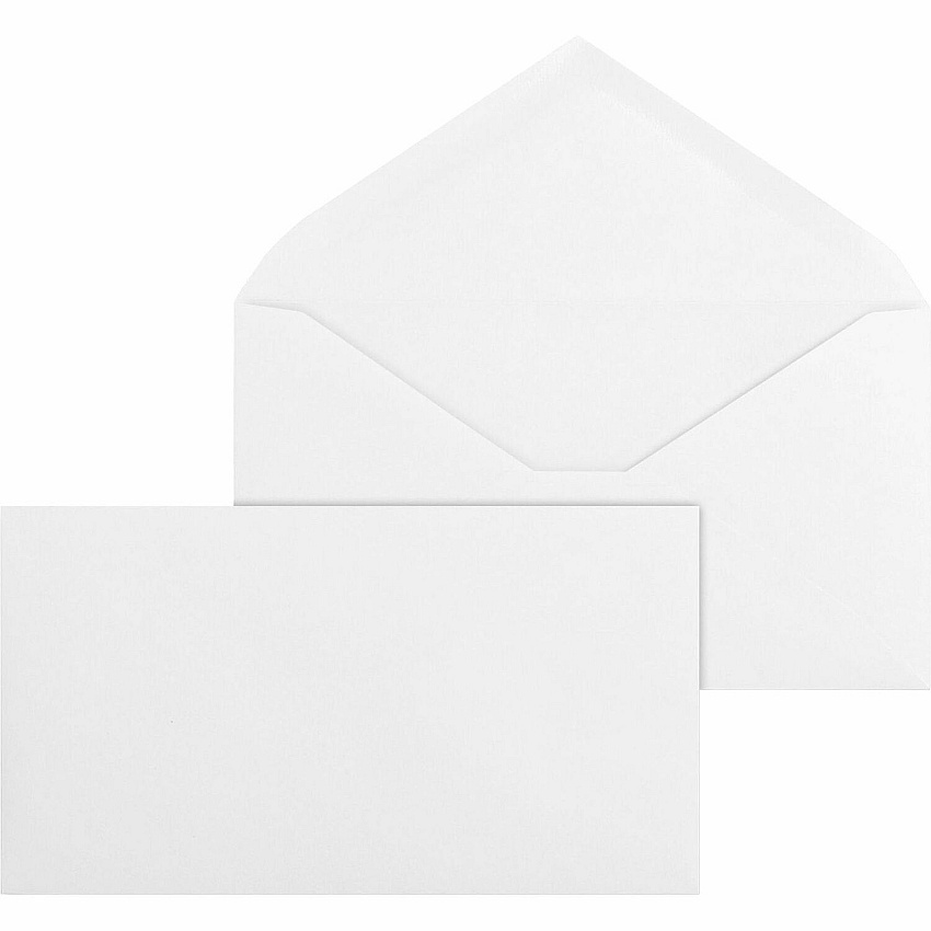 Business Source No. 6-3/4 White Wove V-Flap Business Envelopes (BSN42252)