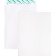 Business Source Self Sealing Catalog Envelope (BSN65450)