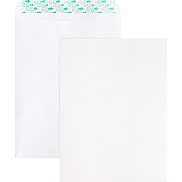 Business Source Self Sealing Catalog Envelope (BSN65450)