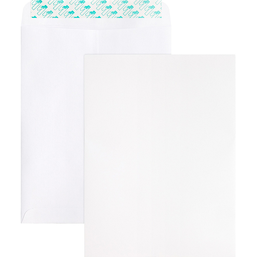 Business Source Self Sealing Catalog Envelope (BSN65450)