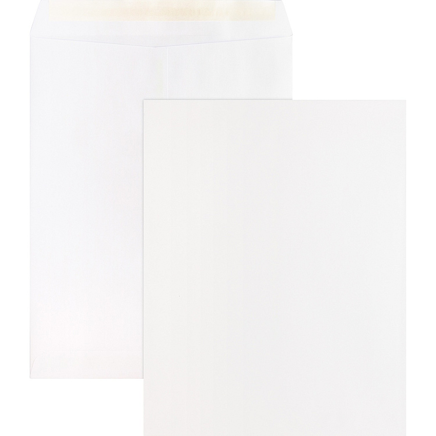 Business Source Self Sealing Catalog Envelopes (BSN65451)