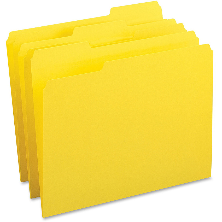 Business Source 1/3 Tab Cut Letter Recycled Top Tab File Folder (BSN65778)
