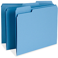 Business Source 1/3 Tab Cut Letter Recycled Top Tab File Folder (BSN65779)