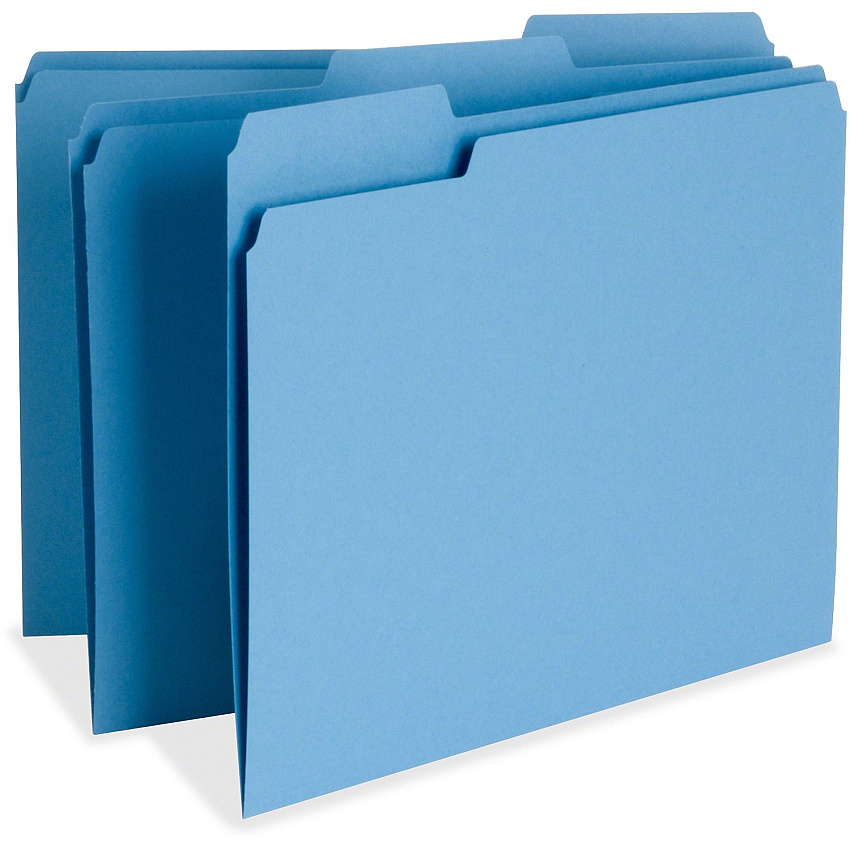 Business Source 1/3 Tab Cut Letter Recycled Top Tab File Folder (BSN65779)