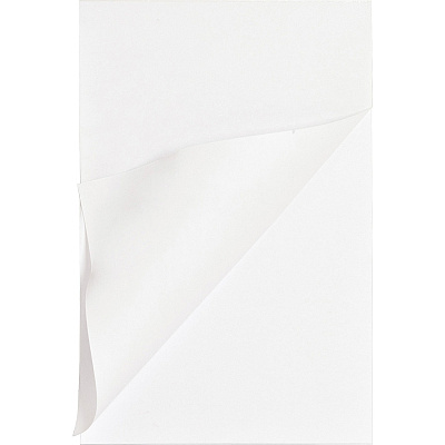 Business Source Plain Memo Pads (BSN65902)