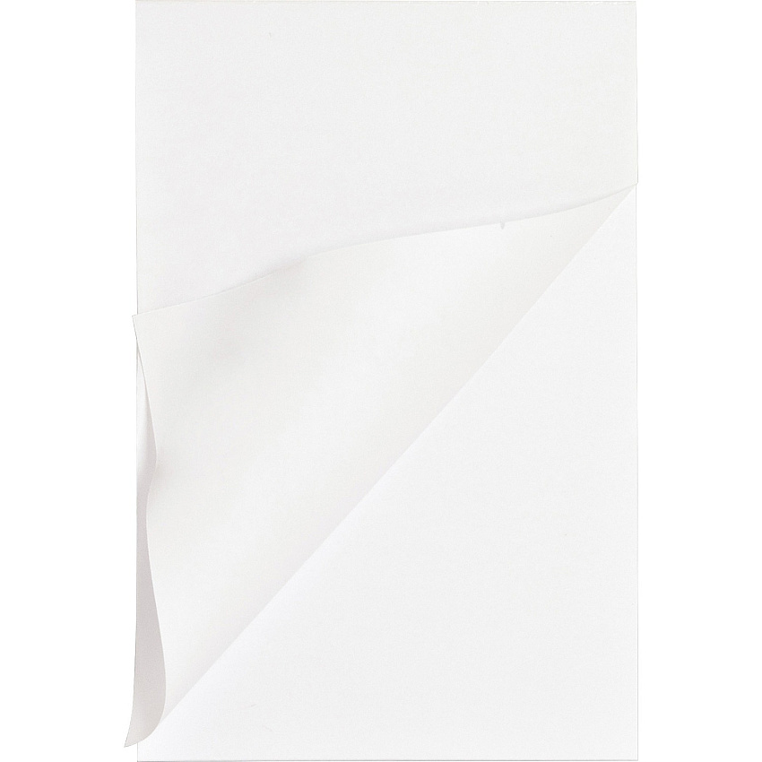 Business Source Plain Memo Pads (BSN65902)