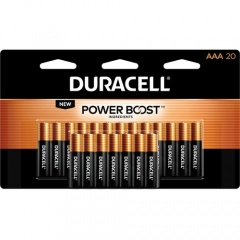 Duracell Coppertop Alkaline AAA Batteries (MN2400B20)