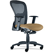 9 to 5 Seating Strata 1560 Mid Back Mesh Chair with Silver Accent (1560Y2A8B111)